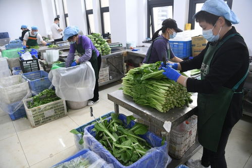 延庆土特产 抱团 每种农产品 入团 都是大考