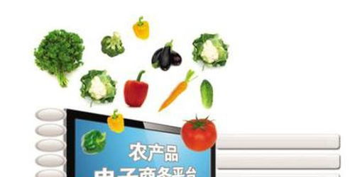 人民日报 广东搭建农产品网络平台
