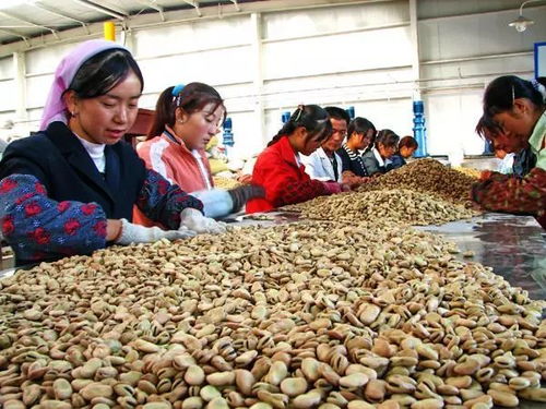 发展农产品加工业有何好处 哪些是最赚钱的领域