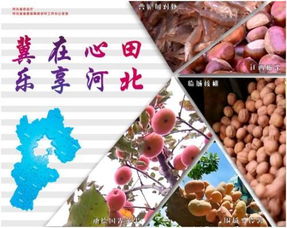 加强农产品推广 河北农业打造特色区域品牌