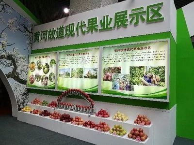 200余种丰县名特优农产品受到南京市民热捧