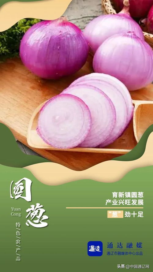 通辽这些特色农产品,你知道吗