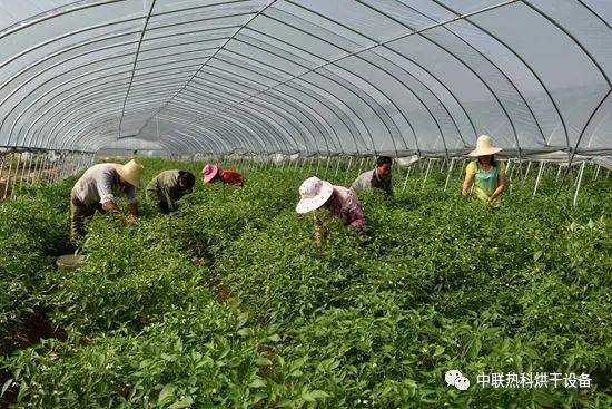 农副产品和农产品的区别在哪 农副产品加工有补贴吗