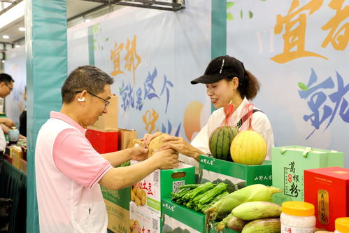 宜都启动农产品区域公用品牌名称和推广语征集
