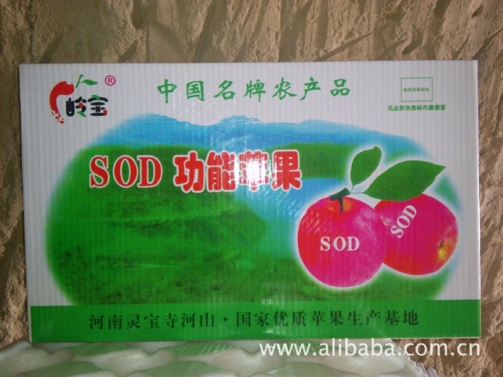 【SOD苹果/红富士苹果/果品/高山果园/绿色无公害】价格,厂家,图片,苹果,高山果品贸易公司-