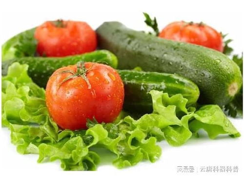农产品农药残留检测仪器可科学检测食品中农药残留